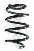 SPIDAN 86980 Coil Spring